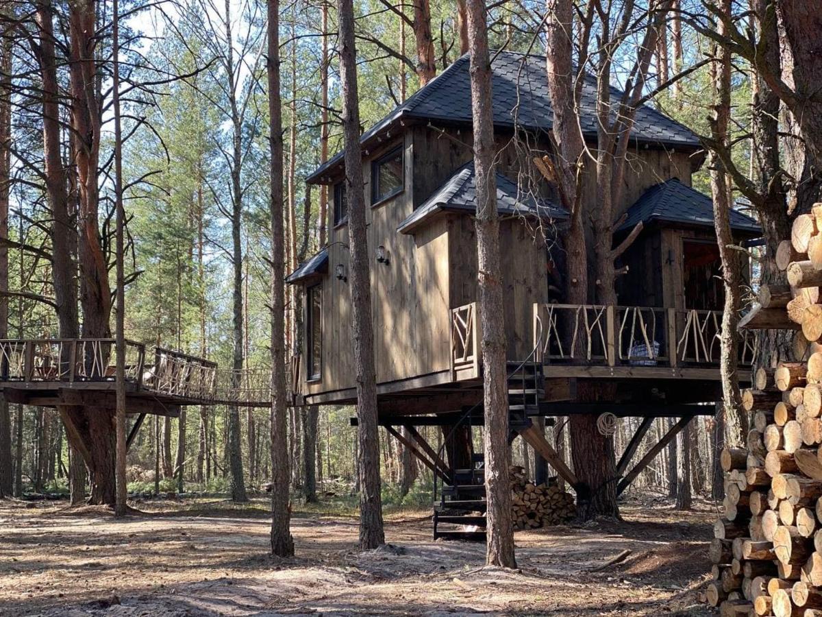 TREE HOUSE LODGE NALIVAYKOVKA (Украина) | NOCHI